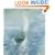 The Cos Cob Art Colony: Impressionists on the Connecticut Shore