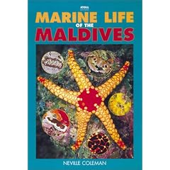 Marine Life of the Maldives