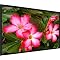 Home Theater Projector Screens