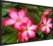 Screen Innovations HDTV 110 Matte White 1.1  Theater Sensation Fixed Screen