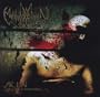 Killer Is Nowhere