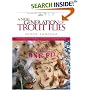 A New Generation of Trout Flies (Masters on the Fly series)
