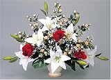 ���̊y�� ���G�}���L�O���[�� <�t�����[�V���[�Y>