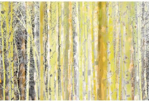 Parvez Taj Aspen Forest 2 - on Canvas Art Print on Premium Canvas, 24 x 36