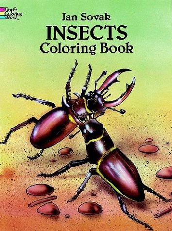Insects