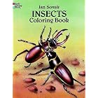 Click here to buy Insects Coloring Book (Dover Coloring Book) by  Jan Sovak.