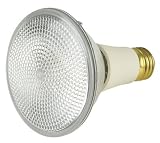 Tools & Hardware : Halogen PAR Spot Light, 50 Watt PAR 30, Long Neck, 120 Volt, 9° Narrow Spot