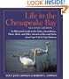 Life in the Chesapeake Bay