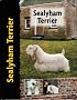 Sealyham Terrier