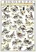 Dinosaurs, Art Poster