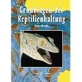 Grundlagen der Reptilienhaltung