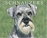 Just Schnauzers 2008 Calendar (Just)