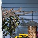 Dragonfly Nature Hook