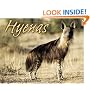 Hyenas (Animal Scavengers)