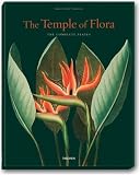 The Temple of Flora : Robert John Thornton image