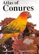 Atlas of Conures: Aratingas and Pyrrhuras