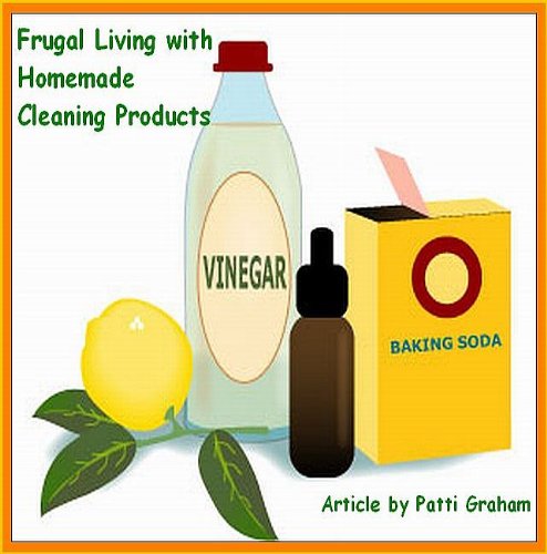 518Kn4rw0OL Frugal Living with Homemade Cleaning Products [Article]