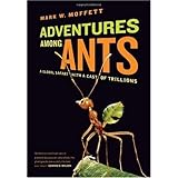 adventures among ants a global safari with a cast of trillions hardcover