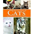 Cats (Animal Encyclopedia)