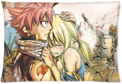 Anime Pillowcase Custom Fairy Tail Natsu Lucy Pillowcases 20 x 26 Pillowcase Cover