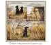 Labrador Dogs - Fabric Shower Curtain