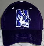 Northwestern Wildcats Wool Team Color One Fit Hat