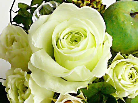 お誕生日から選べる！フラワー風水 木〔moku〕 【福を呼び込むフラワー風水 Florist S.F.D】 ～ プリザーブドフラワー 贈物やご自宅のインテリアにどうぞ ～