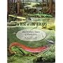 The Rise of Amphibians: 365 Million Years of Evolution