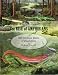The Rise of Amphibians: 365 Million Years of Evolution