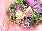 �y�M�t�g�E���蕨�Ɂz�G�߂̂��Ԃƃo���̃u�[�PFL-HT_07