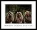 Monkeys Hear No Evil See No Evil Speak No Evil Black Wood-Mounted Art Poster Print - 16" X 20"