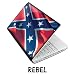 Netbook Skins Fits Acer, Asus, MSI, HP, Samsung - Rebel