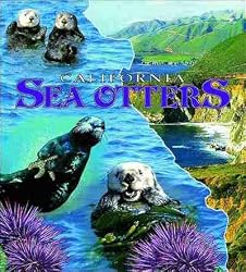 Sea Otters, California Coverlet