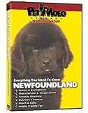 NEWFOUNDLAND DVD! + Dog & Puppy Training Bonus