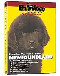 NEWFOUNDLAND DVD! + Dog & Puppy Training Bonus