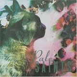 Pale Saints -  The Comforts of Madness
