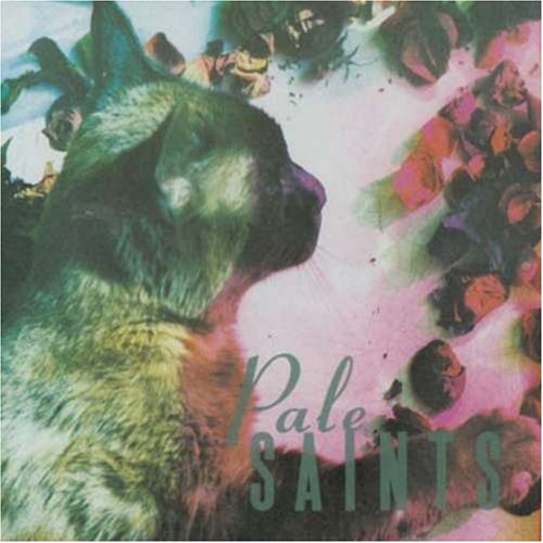 Pale Saints - You Tear The World In Two Lyrics - Zortam Music