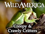 Wild America: Creepy & Crawly Critters Collection
