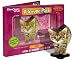 Cat Discover Pack, Bengal
