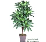 One 6' Bird Nest Artificial Palm Tree with 5 Heads
