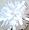 White (2nd pom pon)