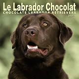 Le Labrador Chocolat/Chocolate Labradors 2004 Calendar
