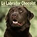 Le Labrador Chocolat/Chocolate Labradors 2004 Calendar