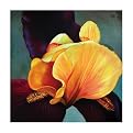 Danni 1095 Original Hand-Painted Oil on Canvas by Carl Sebastian- 32x32"