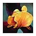 Danni 1095 Original Hand-Painted Oil on Canvas by Carl Sebastian - 32x32"
