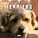 Book Norfolk Terriers 2004 Calendar