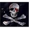 Pirate Stories and Adventures for young Readers