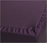 Sealy Best Fit 330-Thread-Count Cotton Sateen Queen Size Sheet Set, Regal