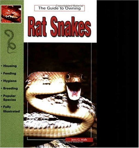 Rat Snakes