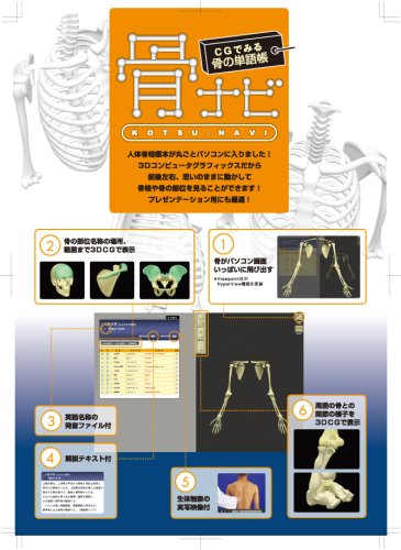 骨ナビ